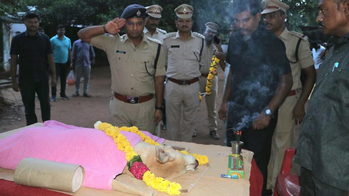 Sniffer dog that served in Maoist hotspots dies of cancer, laid to rest with full honours